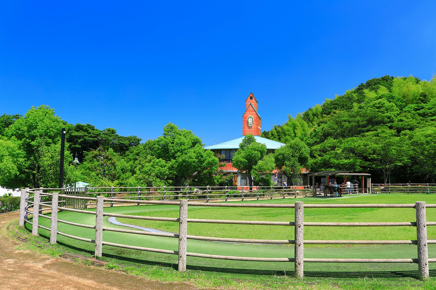 🐴 노마 말 고원(노마우마 하이랜드) 이미지 11